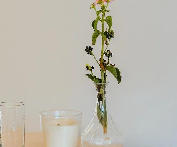 Anemomylos * Paralimni