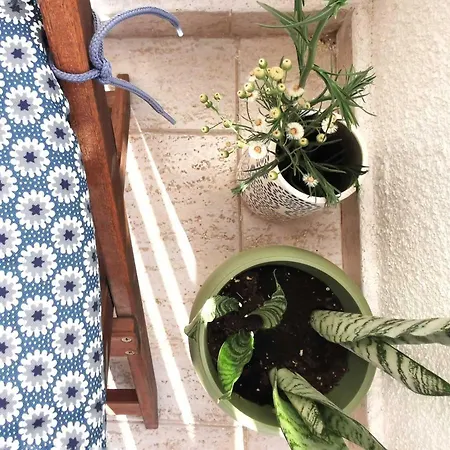 Anemomylos