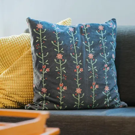 Anemomylos Apartamento Paralimni