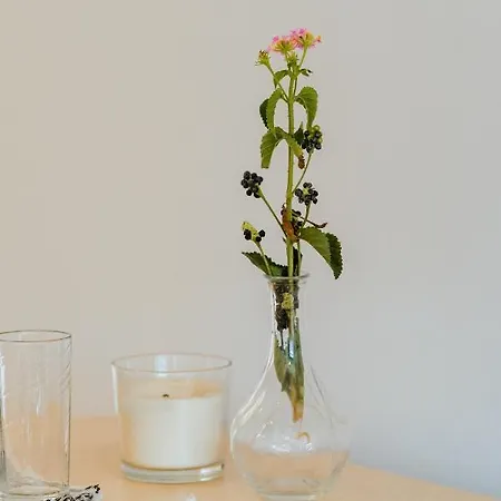 Anemomylos * Paralimni